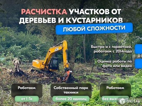 Расчистка территорий от деревьев и пней от 1 Га. Фото 1.