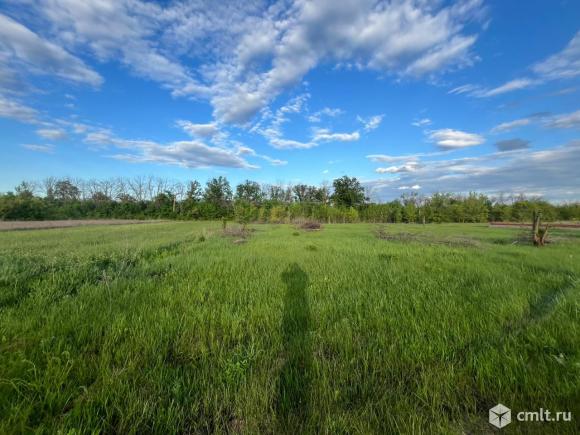 Участок 10 сот.. Фото 1.