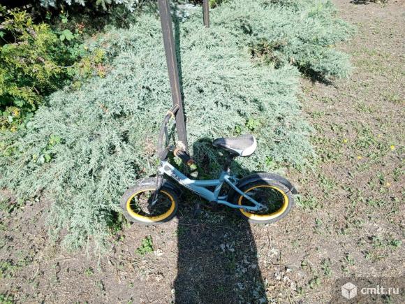 Детский велосипед. Фото 1.