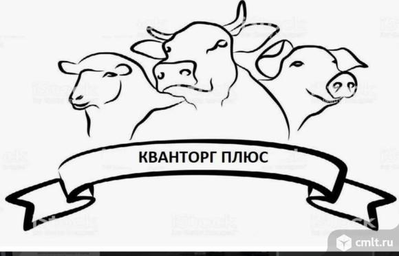 Уборщица/ уборщик в компанию Кванторг требуется. График 3/3. Официальное трудоустройство.. Фото 1.