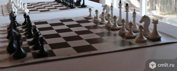 Шахматы. Фото 1.