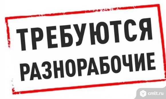 Разнорабочие требуются на работу в Воронеже.. Фото 1.