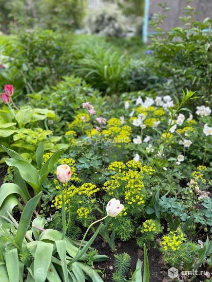 3-комнатная квартира 68,1 кв.м. Фото 11.