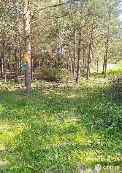 Участок 15 сот.. Фото 1.