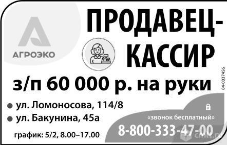 Продавец-Кассир,
