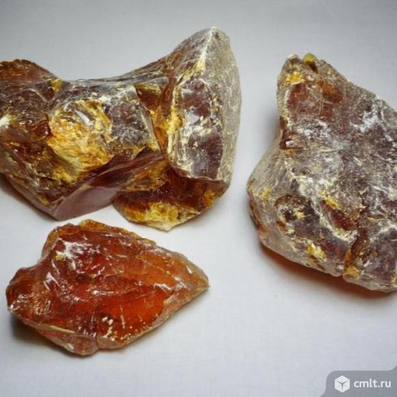 Куплю канифоль сосновую. Самовывоз.. Фото 1.