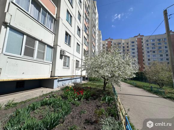 2-комнатная квартира 55 кв.м