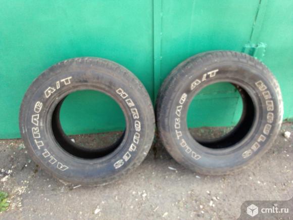 Шины. Фото 1.