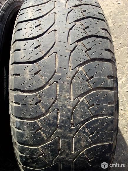Шины. Фото 7.