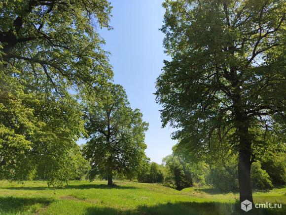 Дачи-Барн в лесу на берегу водоема.. Фото 19.