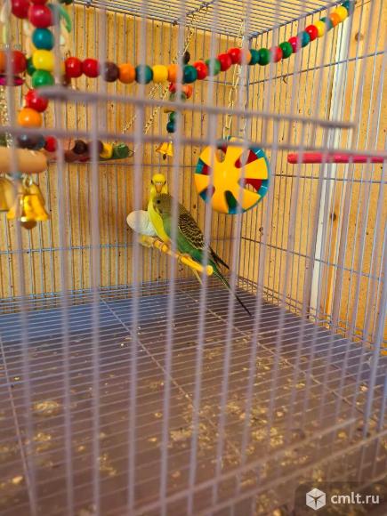 Продам. Фото 1.