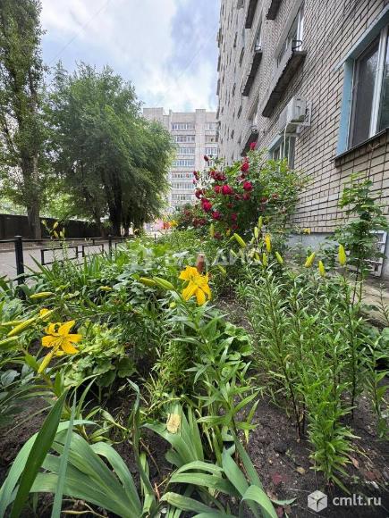 3-комнатная квартира 58,7 кв.м. Фото 1.