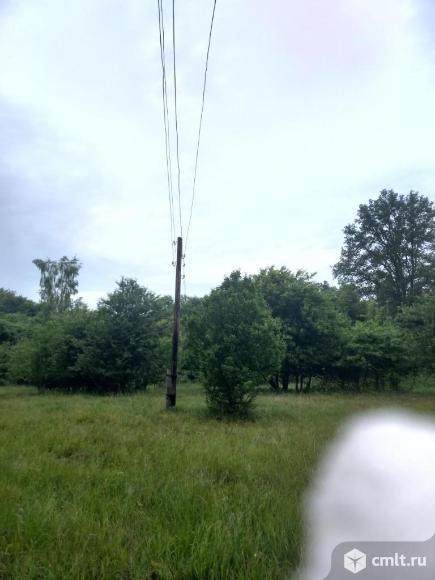 Участок 155 сот.. Фото 1.