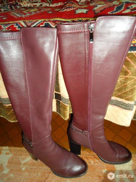Сапоги женские. Фото 1.