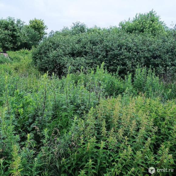 Участок 42 сот.. Фото 1.