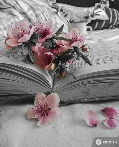 Пишу стихи и прозу на заказ. Фото 1.