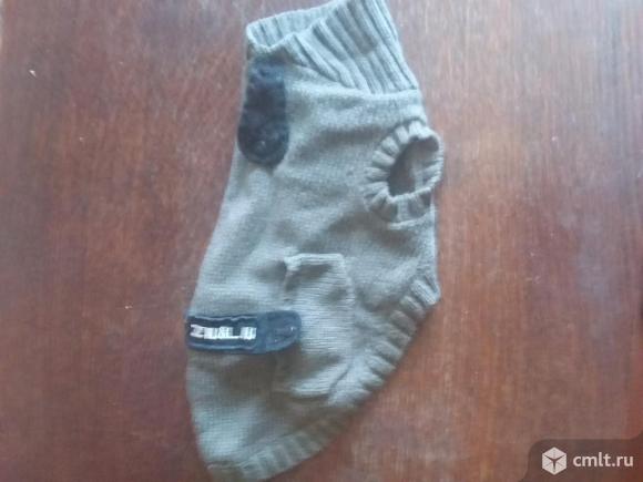 Все для ухода за кошкой. Фото 4.