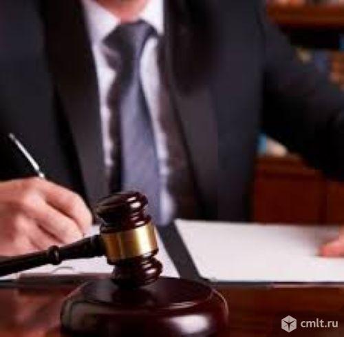 Услуги юриста для политиков в Красноярске. Фото 1.