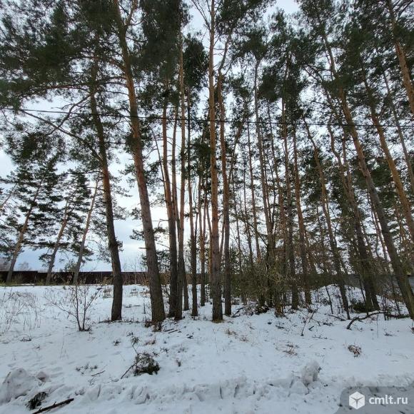 Участок 11 сот.. Фото 1.