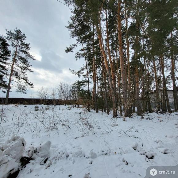 Участок 11 сот.. Фото 2.