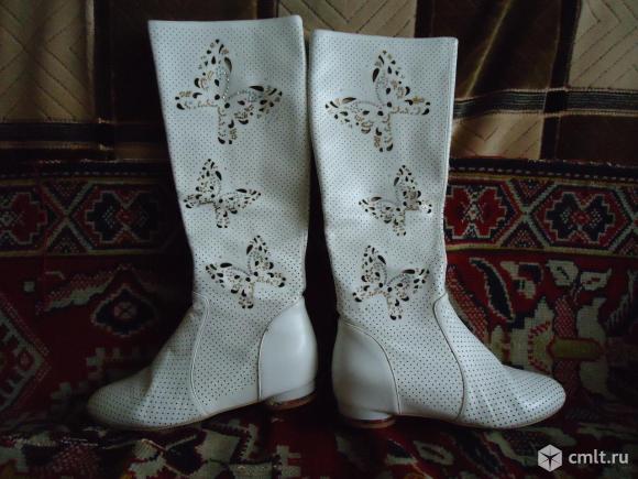 Сапожки женские весна-лето. Фото 1.