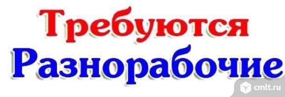Требуется разнорабочий