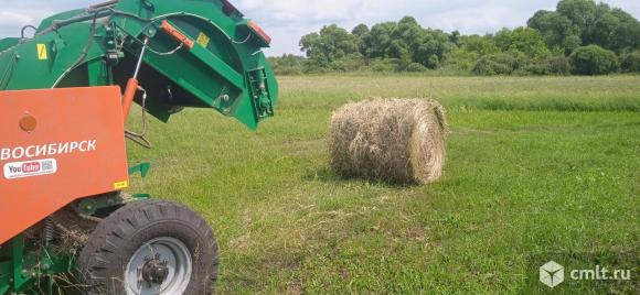 Сено урожай 2025. Фото 1.