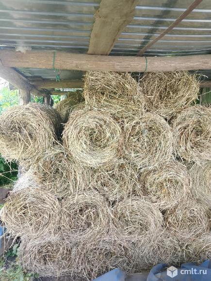 Продам сено .. Фото 1.