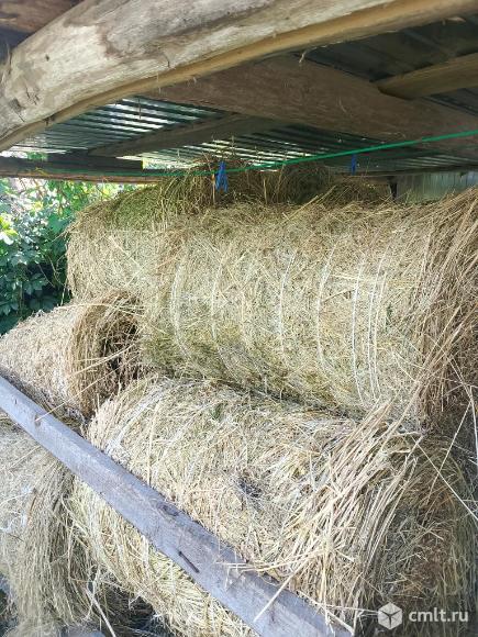 Продам сено .. Фото 2.