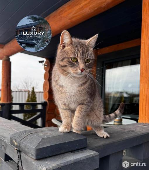 Коттедж посуточно 65 м2. Фото 1.