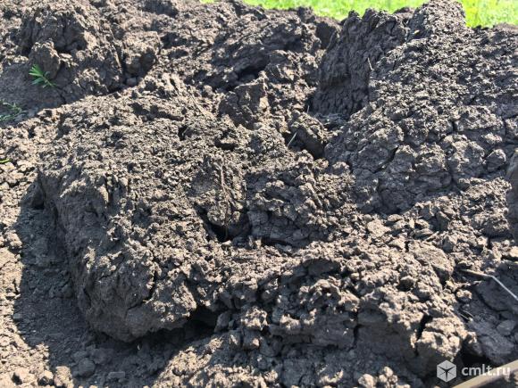 Чернозём. Фото 1.