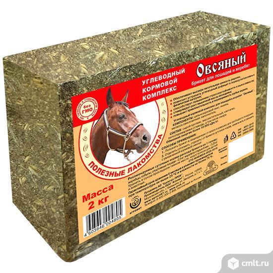 Овсяный брикет для лошадей и жеребят 2 кг.. Фото 1.