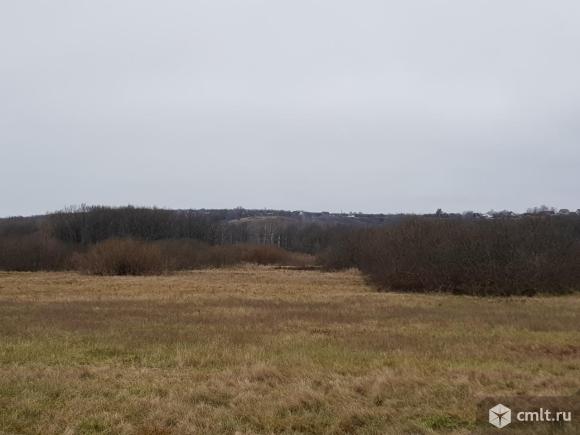 Участок 40 сот. (ЛПХ), с. Ступино Рамонский р-н. Фото 4.