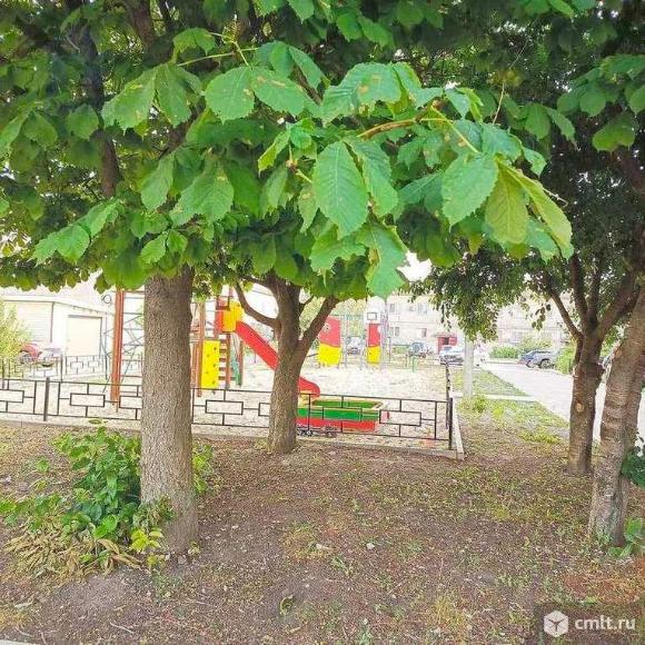 1-комнатная квартира 33,7 кв.м. Фото 20.