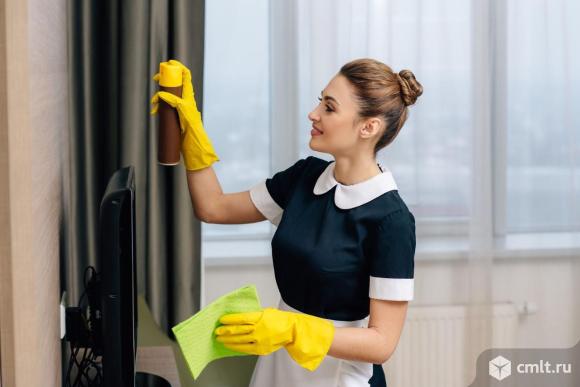 Домработница. Фото 1.