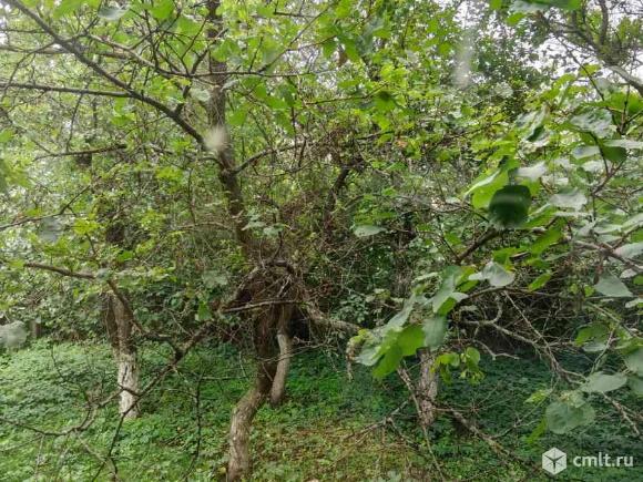 2-комнатная квартира 46 кв.м. Фото 15.