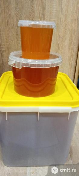 Мёд Добрых пчёл!. Фото 2.