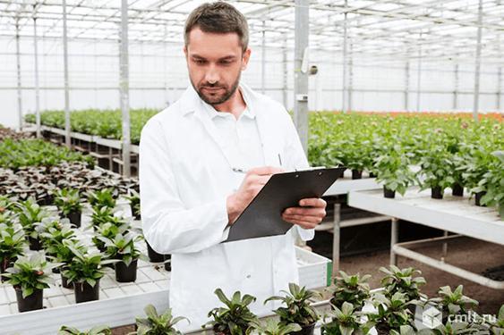 Продаются земельные участки на юге Ленинградской области. Фото 4.