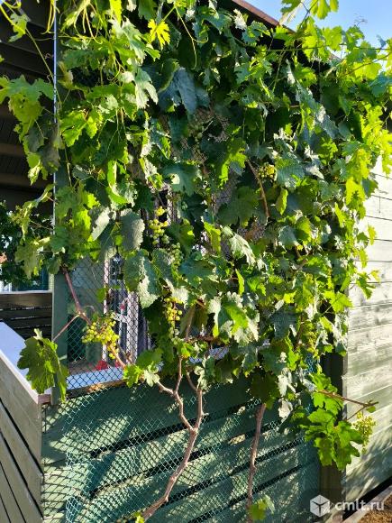 Дача 200 м2 на участке 5 сот.. Фото 18.