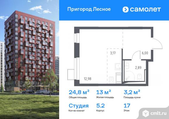 1-комнатная квартира 24,8 кв.м. Фото 1.