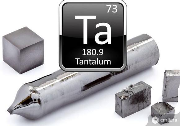 Куплю Тантал. Фото 1.