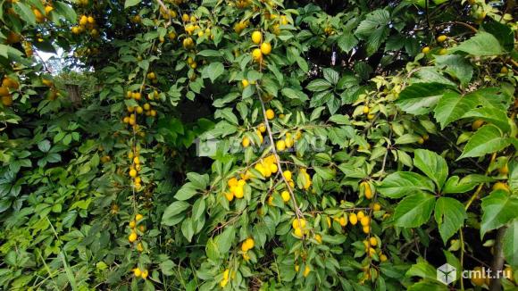 Участок 6 сот.. Фото 1.