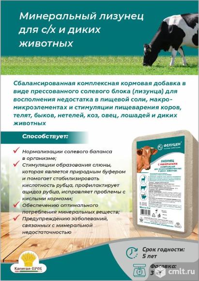 Универсальный лизунец 3кг.. Фото 1.