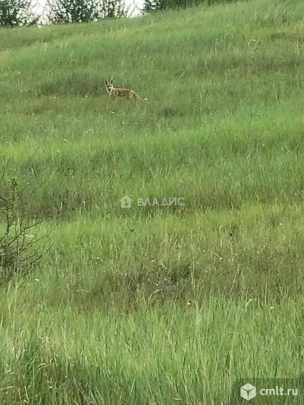 Участок 12,98 сот.. Фото 1.