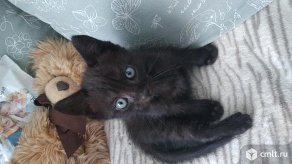 Мальчишка ищет дом. Фото 1.