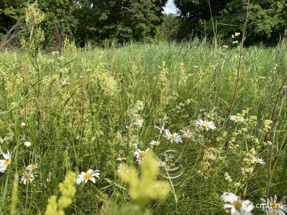 Участок 19 сот.. Фото 20.