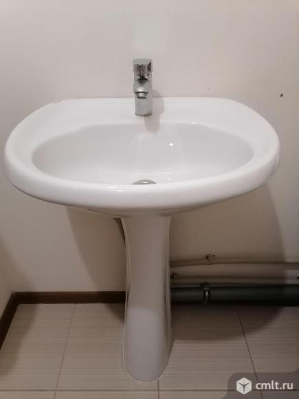 Раковина тюльпан. Фото 1.