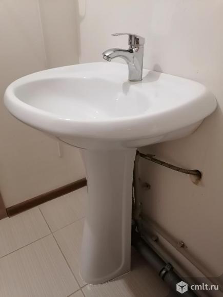 Раковина тюльпан. Фото 3.