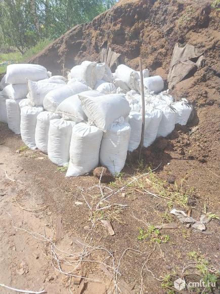 Конских перегной. Фото 1.