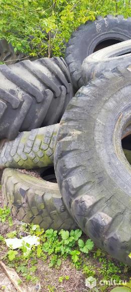 Отдам шины. Фото 1.